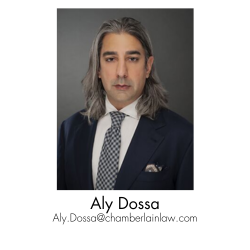 Aly Dossa, Attorney and Author of Data Privacy Enforcement Tracker