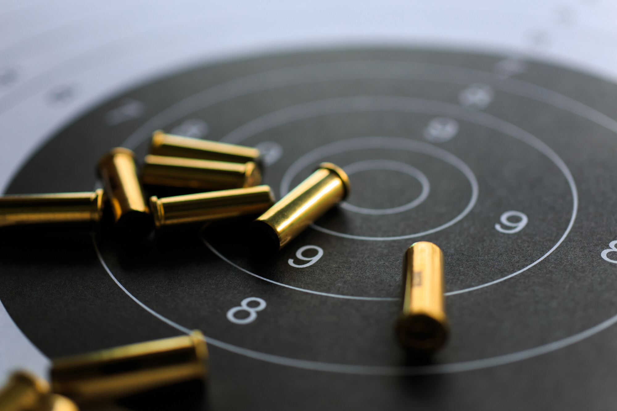 Bullet Casings on Target