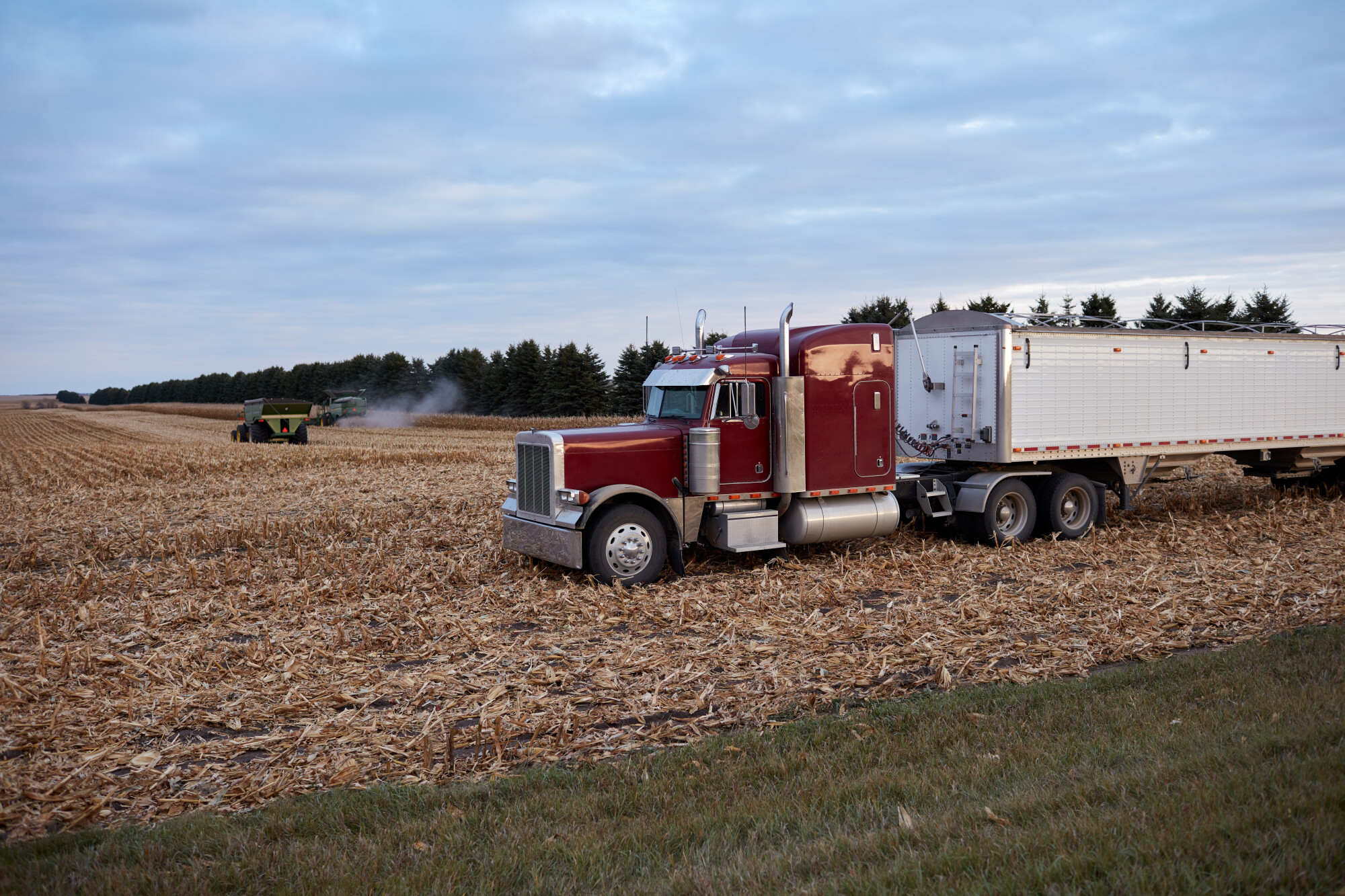 Semi-Truck Filling Up Crops