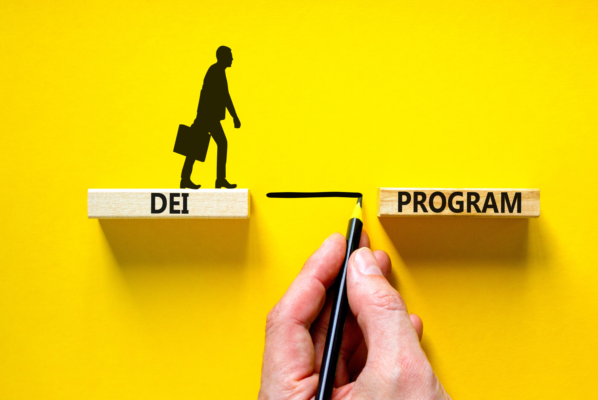 DEI Program