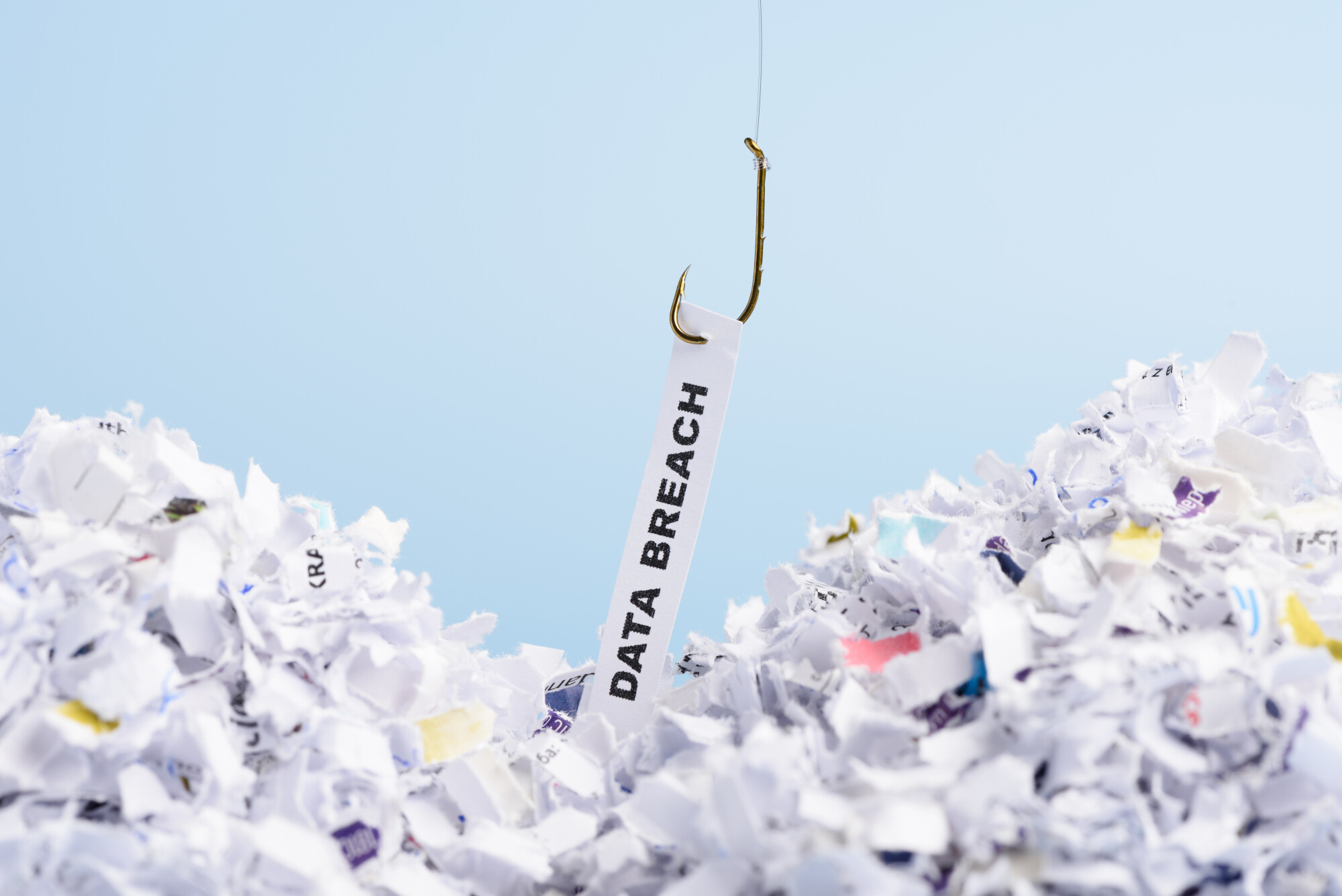 Data Breach Shredded Documents