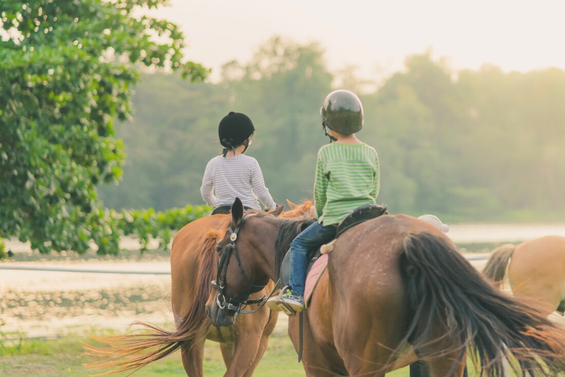 Children on Horses