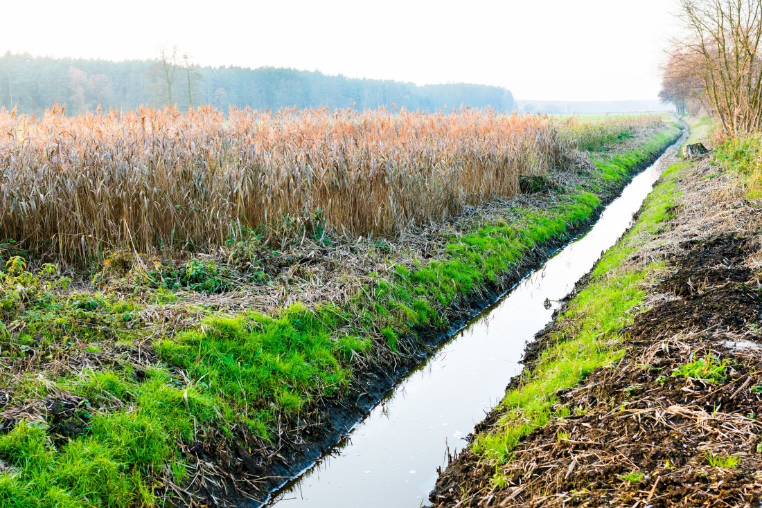 Draining Trench