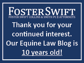 Equine Blog 10th Anniversary Graphic