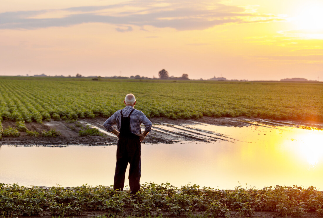 Farmer Looking at Flooded Field