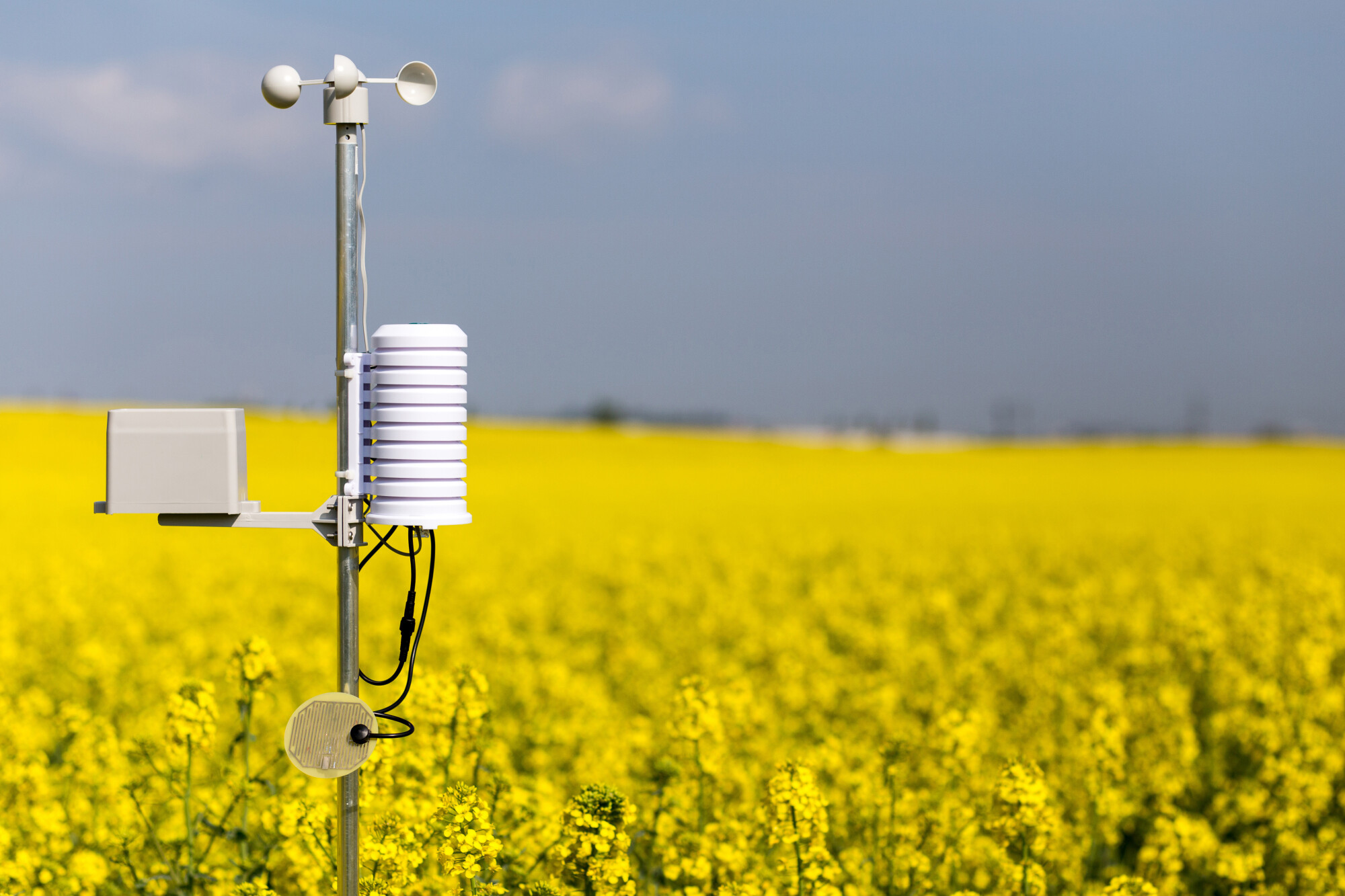 Weather Station in a Field