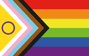 LGBTQ+ Progress Flag